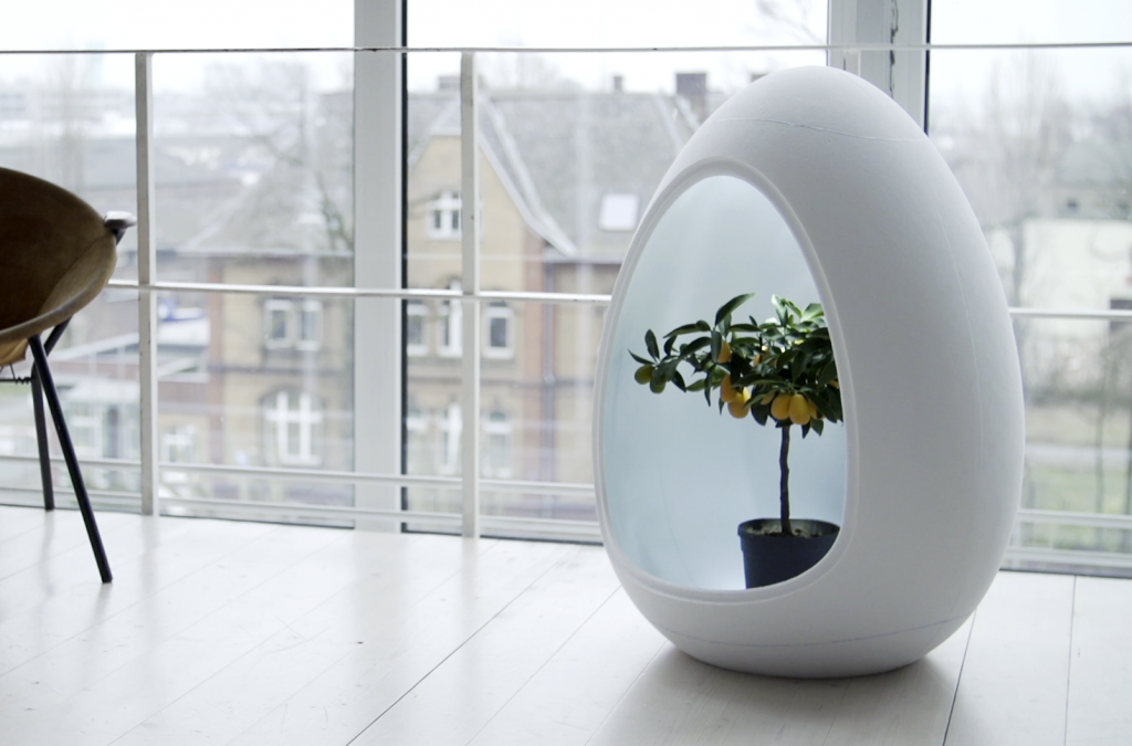 1 Protect your plant in an controlled environment in your living room