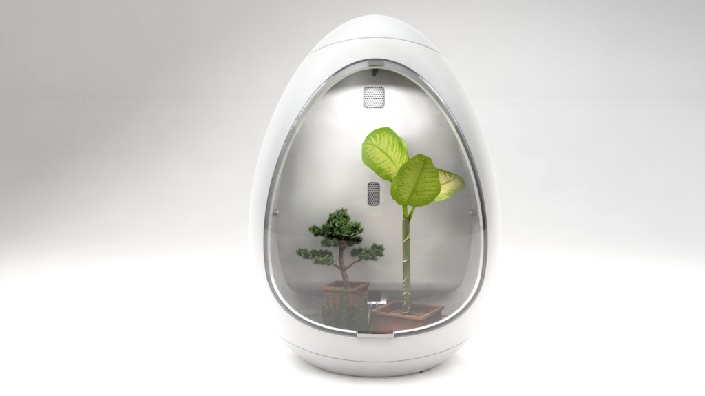 4 Model with Plants in the DasEgg 3DPlants